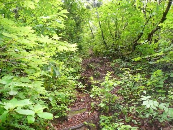 頂上手前の急登